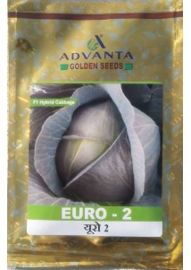 EURO-2 Cabbage